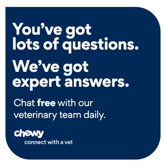 Get Instant Vet Help Via Chat or Video. Connect with a Vet. Chewy Health