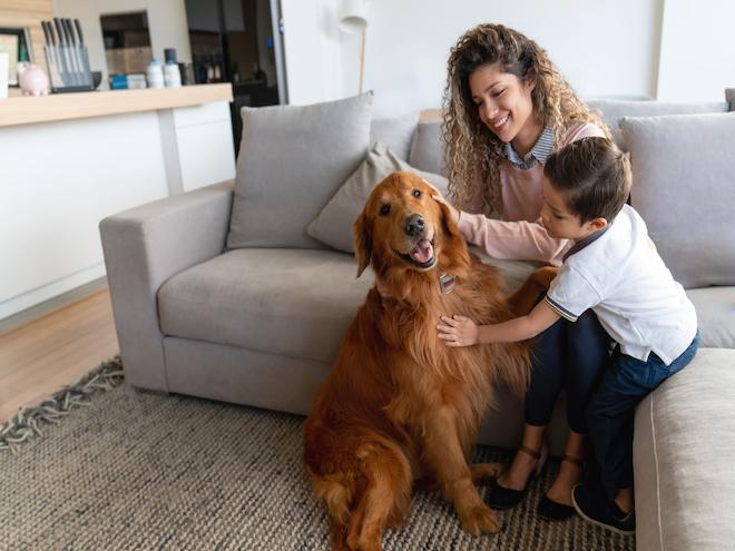 woman and little boy petting a red golden retriever in their living room