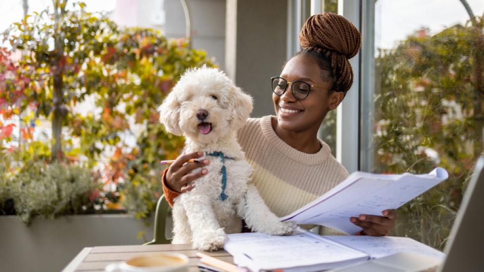 african american woman studying at coffee shop table with white poodle in her lap